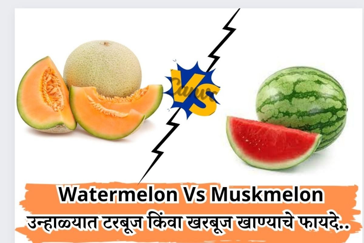 Watermelon Vs Muskmelon उन्हाळ्यात काय खावं टरबूज की खरबूज ? पण ...